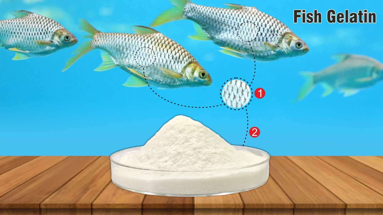 Fish Gelatin Image