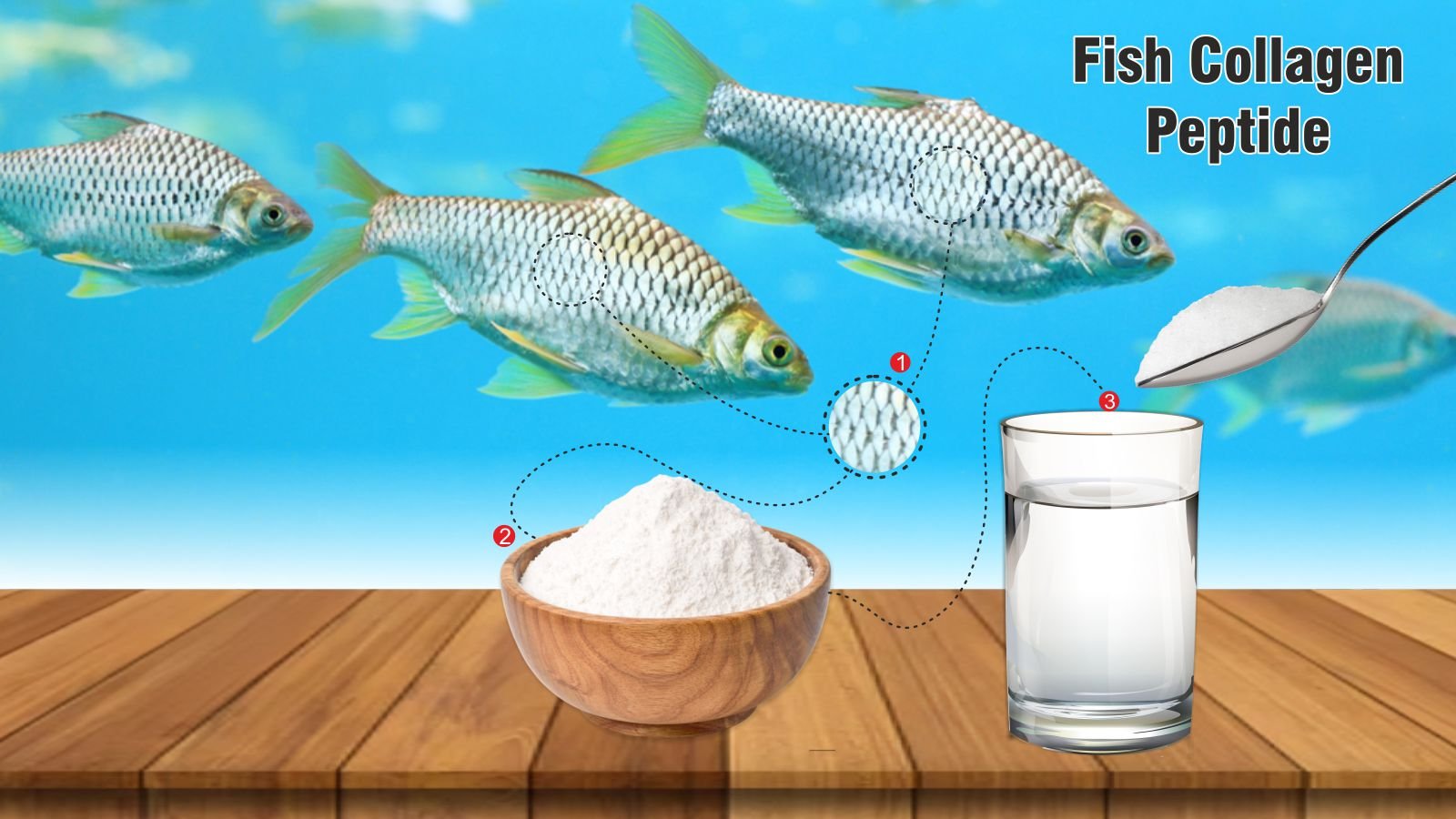 Fish Collagen Image